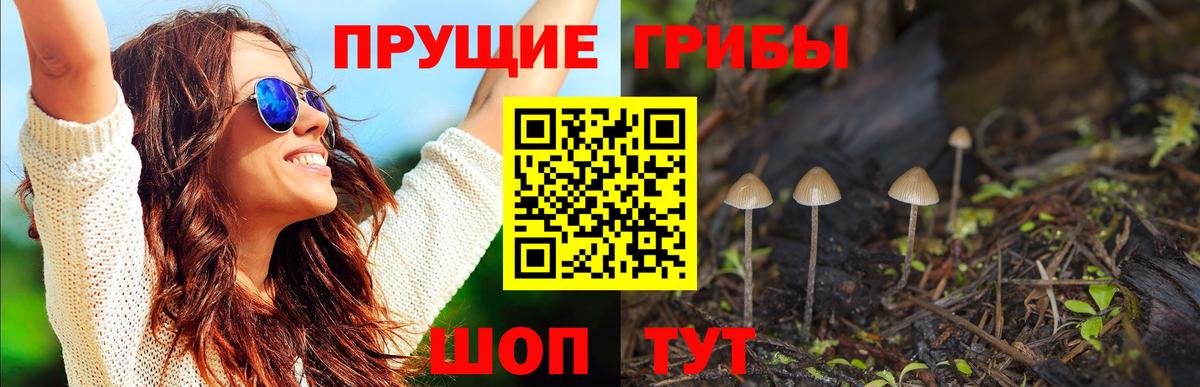 Псилоцибиновые грибы мицелий Шелехов