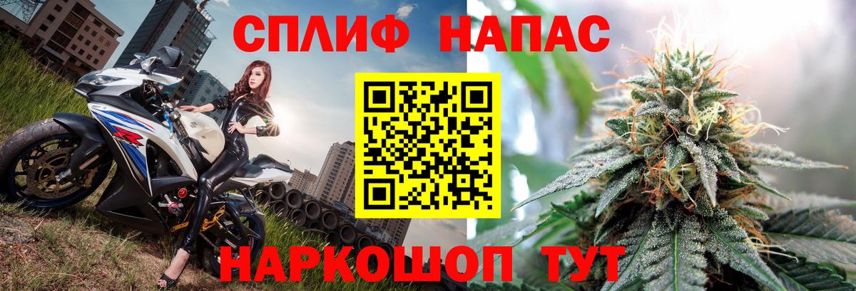 Шелехов  Шишки марихуана семена  Канабис планчик  Конопля Bruce Banner  Вход с VPN 